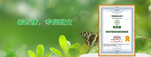 暂无内容